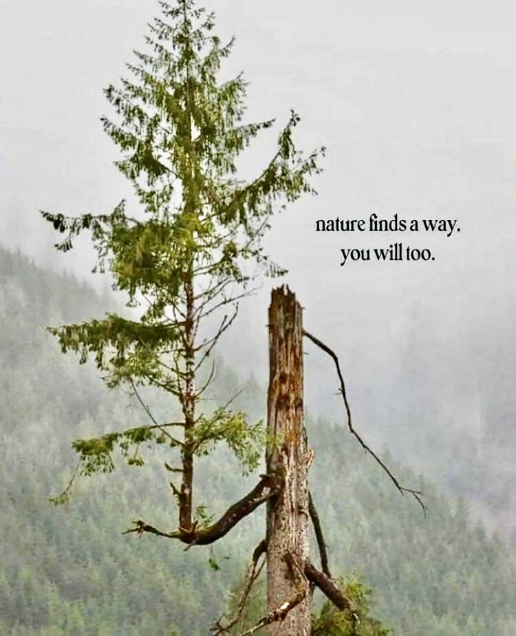 Nature finds a way
